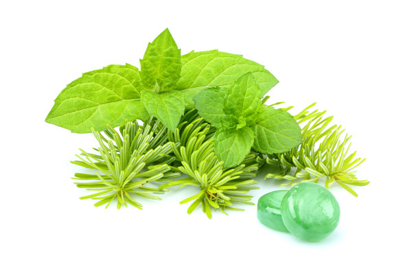 用肉和杉木做的糖果。图片下载