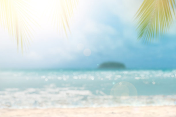 在前景上散焦热带海洋和棕榈叶图片下载
