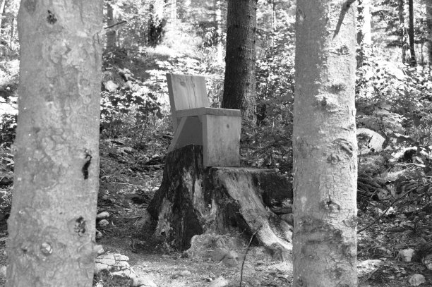 森林中的椅子图片下载