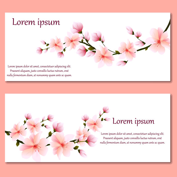 一套带有温柔的粉红色樱花的卡片或请柬素材图片