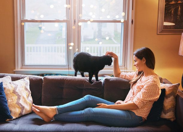 幸福就是家里有一只猫图片下载