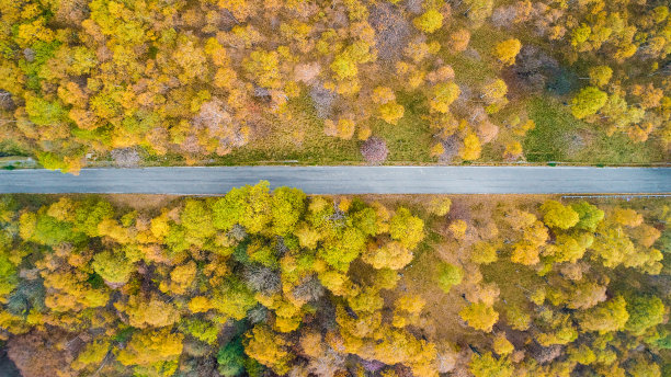 头顶空中俯瞰笔直的道路在多彩的乡村秋天的森林。秋天有橙、绿、黄、红的树林。山间直线的街道路径背景。笔直的以上观点图片下载