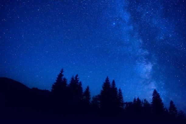 夜晚的森林素材图片