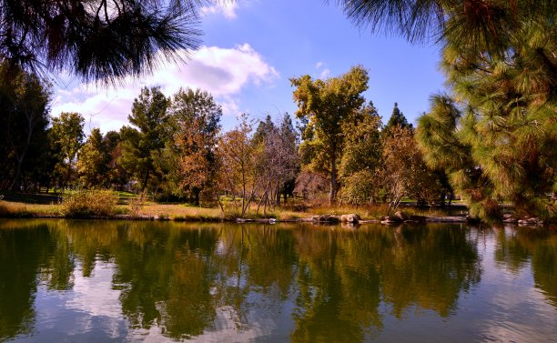 秋天有颜色。图片下载