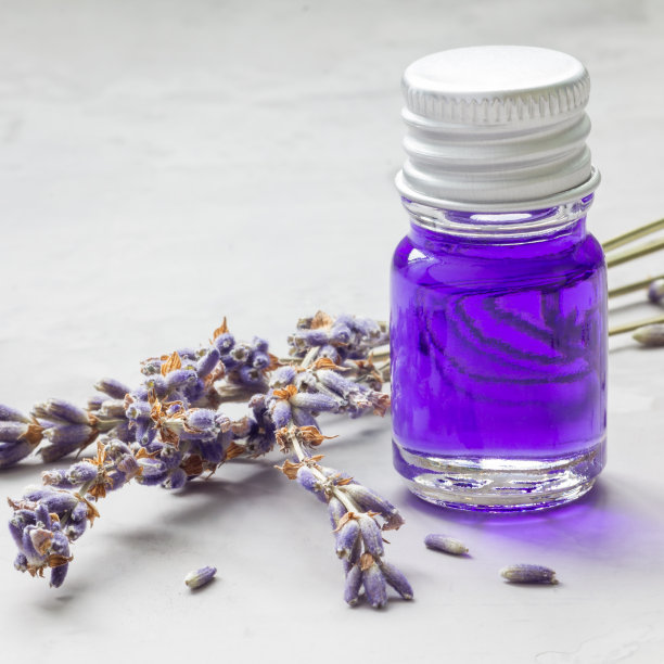 薰衣草油装在一个有薰衣草花背景的玻璃瓶里，方形的图片下载