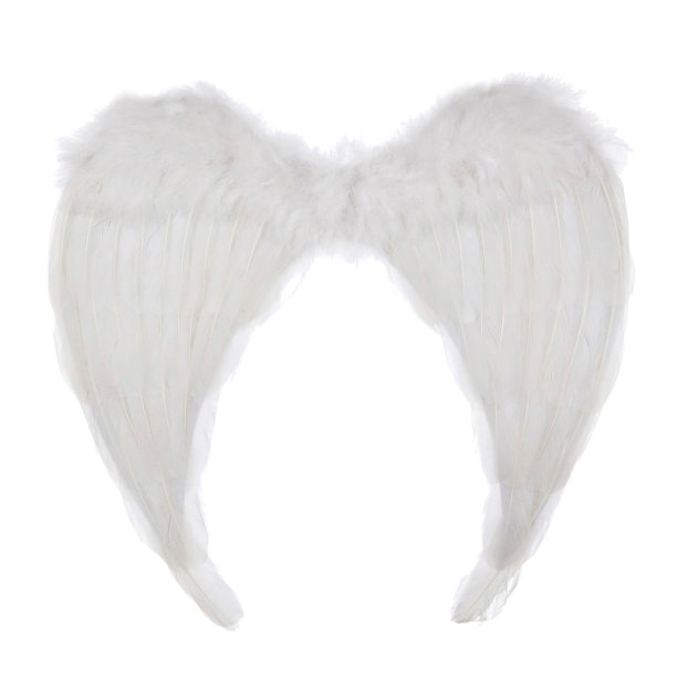 白色背景上的天使翅膀图片下载