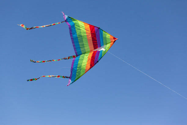 风筝图片素材ID：302463606