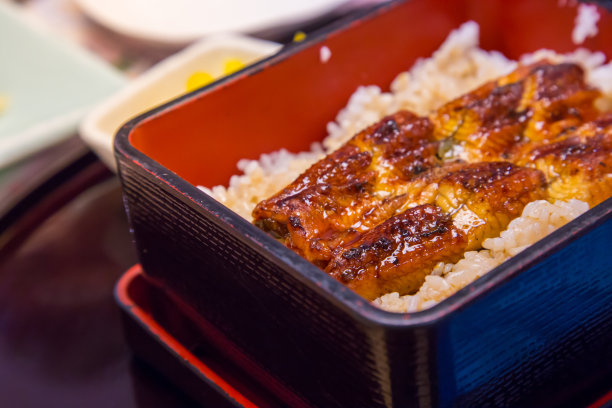 云菜，飞鱼，日本菜，烤鳗鱼饭，鳗鱼碗图片下载