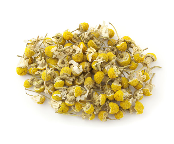 干洋甘菊花卉图片下载