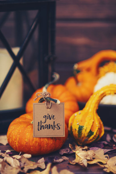感恩节的静物，用各种各样的南瓜和感谢的信息素材图片