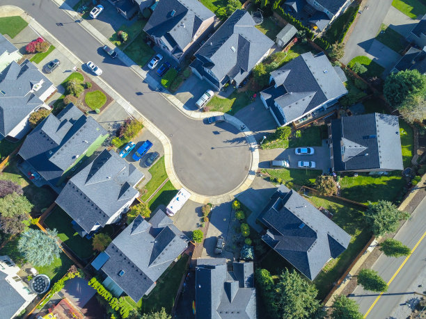 生命的循环图片下载