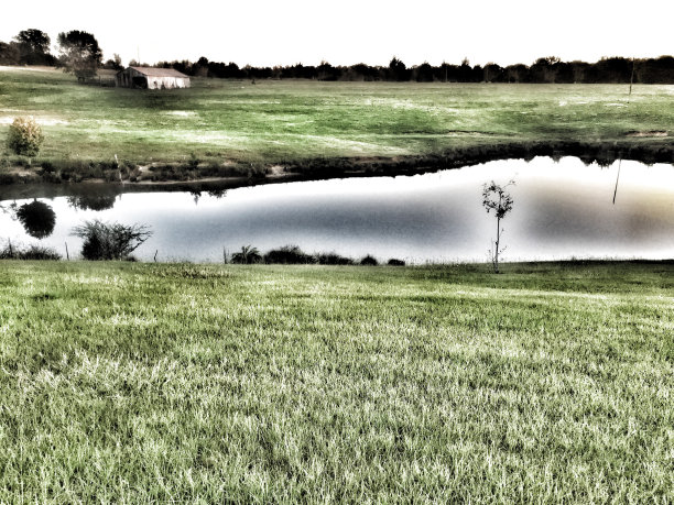 农场的池塘图片下载