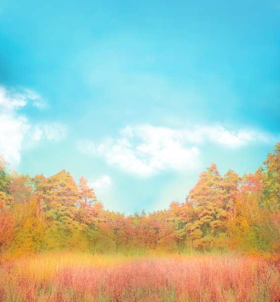 金色的秋天，蓝天。秋天的背景与开阔的空间。图片下载