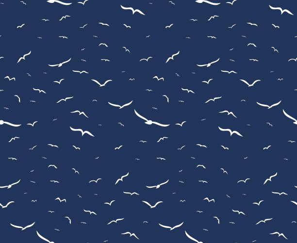 背景与鸟类。图片下载