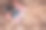 钥匙照片素材ID：302500668