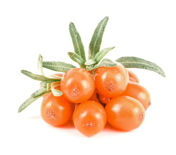 沙棘。新鲜成熟的浆果与叶子孤立的白色背景微距图片下载