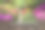 美丽充满活力的景观图像的人行道边界的杜鹃花在春天在英国的概念出现在书页在打开的书素材图片