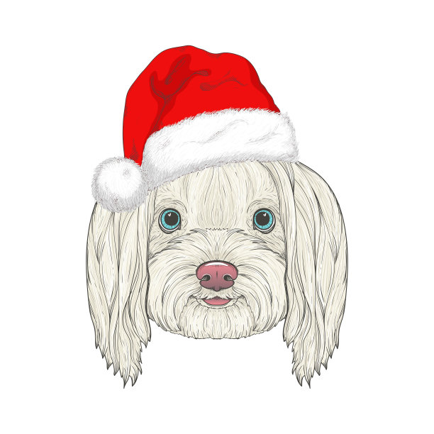 戴着红色圣诞老人帽子的狗。手图片下载