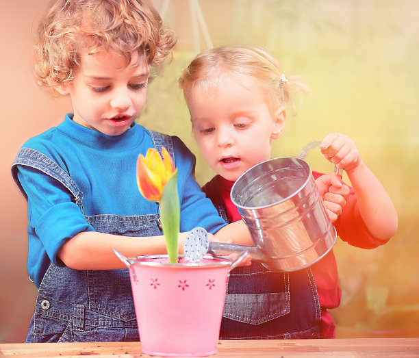 孩子们在给郁金香浇水素材图片