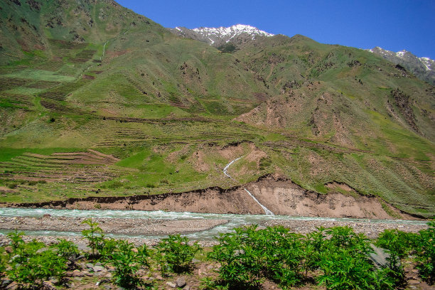 风景郁郁葱葱的青山图片下载