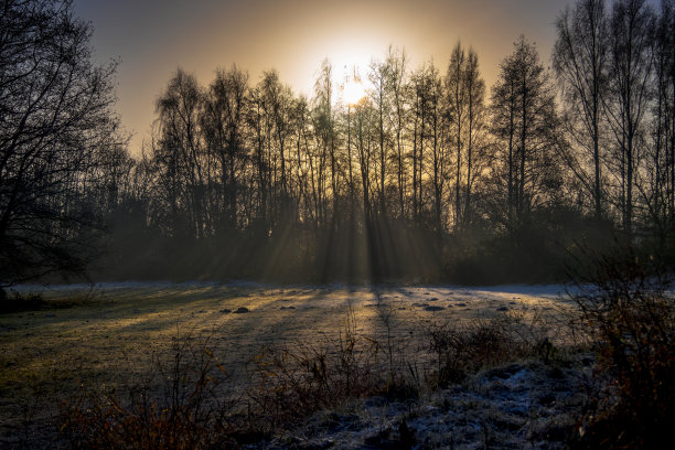 忧郁的树木日落，阳光的光束在一个朦胧的森林与红色和金色的颜色秋天爆发阳光图片下载