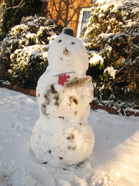 雪人的禁令图片下载