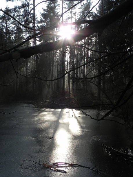 早上在蓝湖图片下载