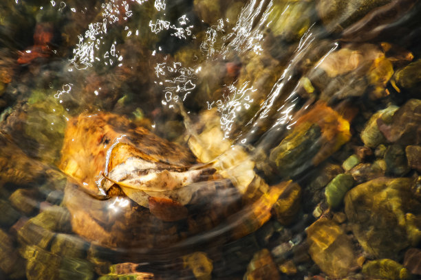 水折射图片下载