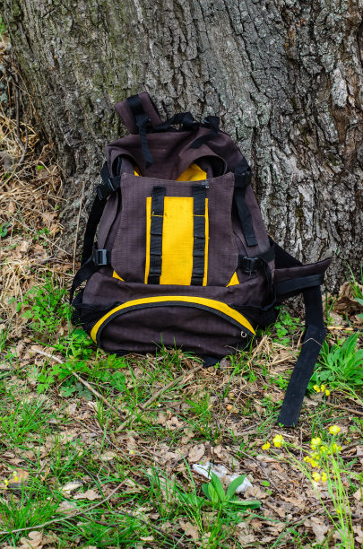 树下的背包图片下载