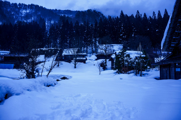 冬天地面覆盖着雪。夜晚的村庄和树木的剪影图片下载
