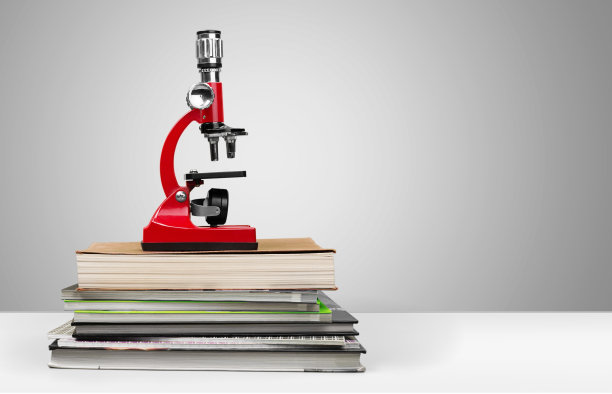 学校。图片下载