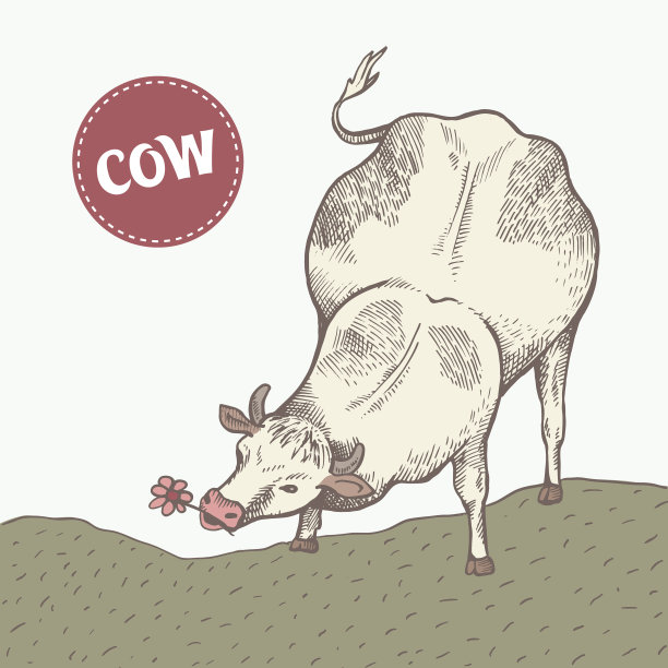 牛在吃草图片下载