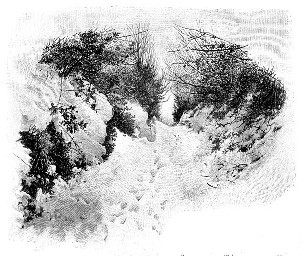 19世纪在雪地上刻有“邮差之路”的脚印;1890年冬天的维多利亚乡村小路图片下载