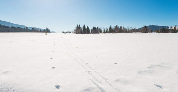 冬天的静物画。深深的雪堆上的脚印。白雪覆盖的领域。图片下载