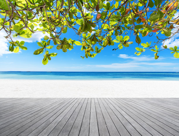 热带海滩旁的热带树下的木制平台图片下载