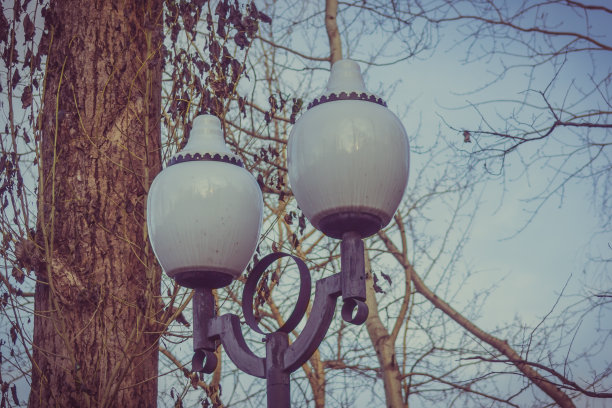 在一个古老的公园里，冬树映衬下的灯笼图片下载