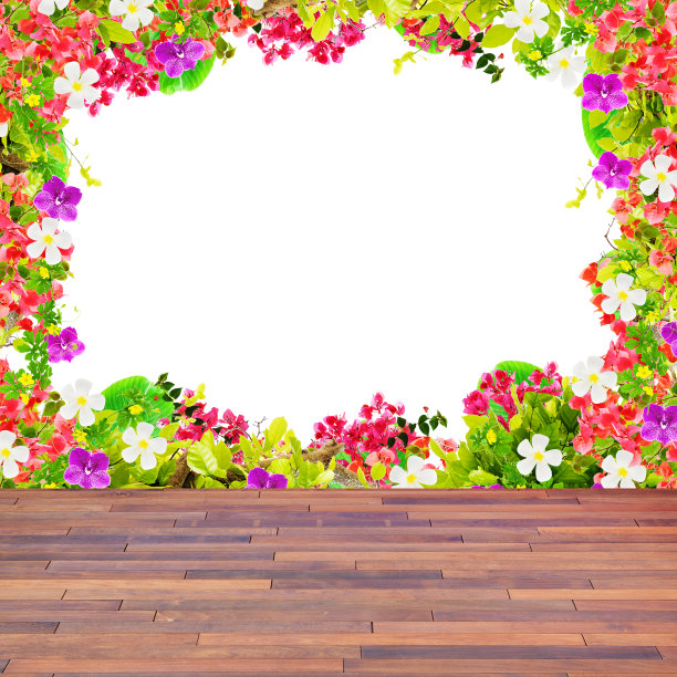 木地板上美丽的兰花花架。图片下载