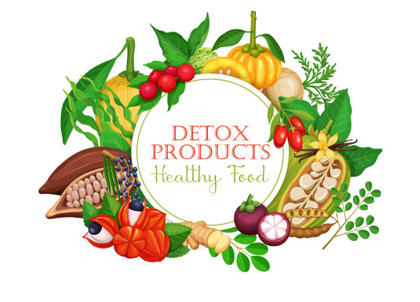 超级食物水果和浆果图片下载