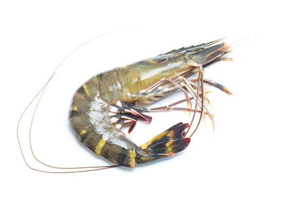 生食图片素材ID：302603406