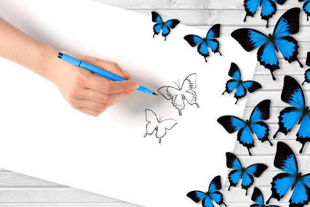 在白纸上画蝴蝶图片下载