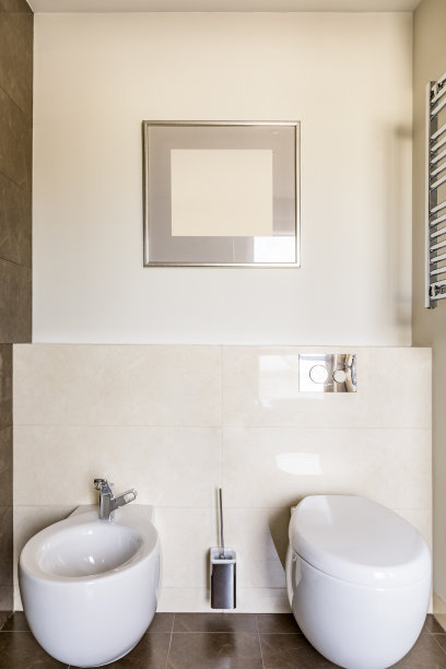 前视图时尚的厕所图片下载