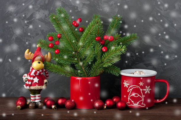 圣诞假期作文图片下载