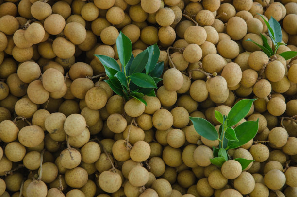 泰国市场上的龙眼水果图片下载