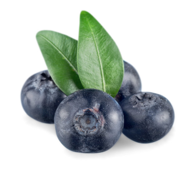 蓝莓。图片下载