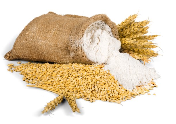 谷类植物。图片下载