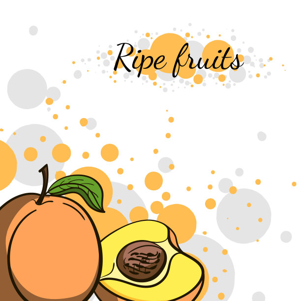 白色背景上有文字的水果特写镜头图片下载