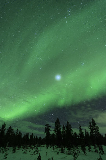 北极光，木星和昴宿星团在北方森林上空的夜空。图片下载