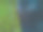 森林图片素材ID：302655462
