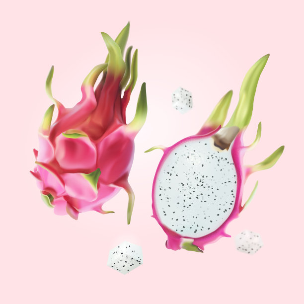 新鲜火龙果，分开切成两半图片下载