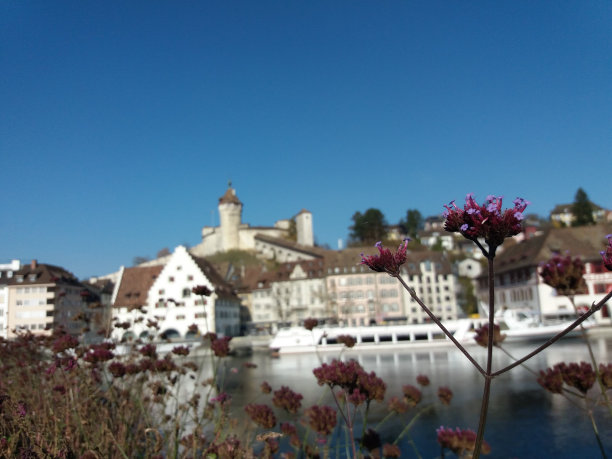 我是寿星图片下载